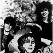 Alien Sex Fiend - List pictures