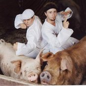 The Chicharones - List pictures