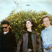 Stephen - List pictures