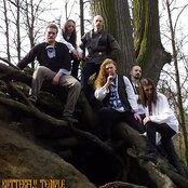 Butterfly Temple - List pictures