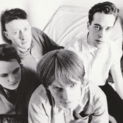 The Servants - List pictures