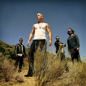 Live - List pictures