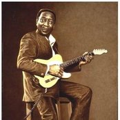 Muddy Waters - List pictures