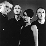 Echobelly - List pictures