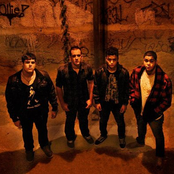 Ollie - List pictures