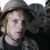 Elephant - List pictures