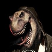 Excision - List pictures