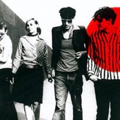 Stellastarr* - List pictures