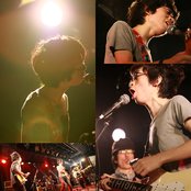 White Ash - List pictures