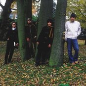 Go-betweens - List pictures