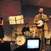 Woodpigeon - List pictures