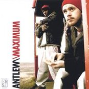 Antlew/maximum - List pictures