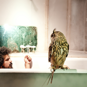 Helado Negro - List pictures