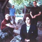 Trembling Blue Stars - List pictures