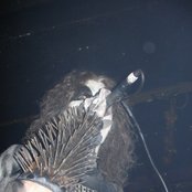 1349 - List pictures