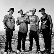 The Rangers - List pictures