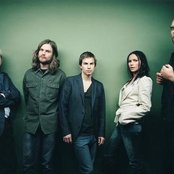 Cardigans - List pictures