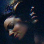 Cat's Eyes - List pictures