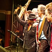 Club Des Belugas - List pictures