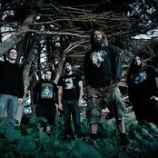 Decrepit Birth - List pictures