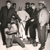 3rd Bass - List pictures