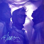 Flans - List pictures