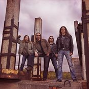 Shadow Host - List pictures