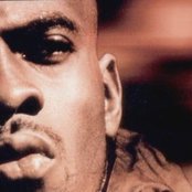 Maestro Fresh Wes - List pictures