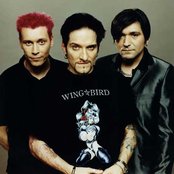 Die Ärzte - List pictures