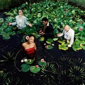 De-phazz - List pictures