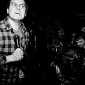 Night Birds - List pictures