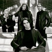 Old Dead Tree - List pictures