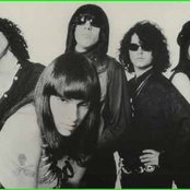 The Fuzztones - List pictures