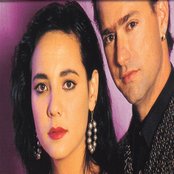 Cock Robin - List pictures