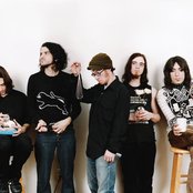 An Albatross - List pictures