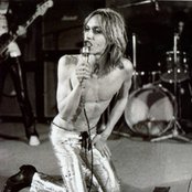 Pop Iggy - List pictures