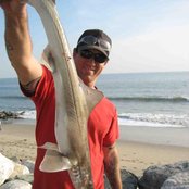 Chuck Ragan - List pictures