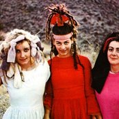 Slits - List pictures