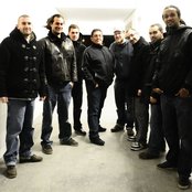 Dub Inc - List pictures