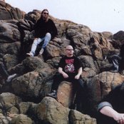 Root - List pictures