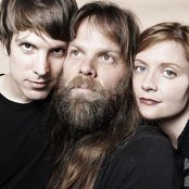 Shearwater - List pictures