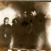 Machines Of Loving Grace - List pictures