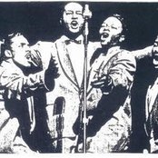 The Penguins - List pictures