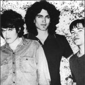 Meat Puppets - List pictures