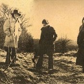 Traffic - List pictures