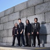 Newsted - List pictures