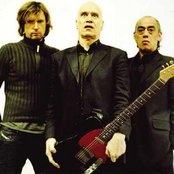 Wilko Johnson - List pictures