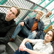 Lotus - List pictures