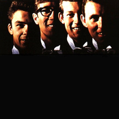 The Shadows - List pictures