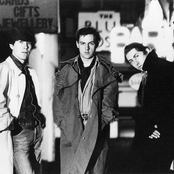 Talk Talk - List pictures